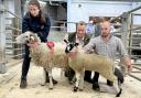 Alistair Bland, right, with his uncle John’s CCM Skipton first prize single Swaledale ewe and Mule gimmer lamb, joined by sister Lucy and show judge Ian Lancaster.