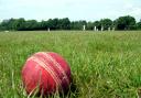 Upper Airedale Junior Cricket Association’s Black Rat Festival receive record numbers