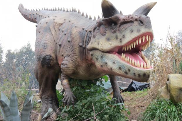 Jurassic Encounter is at Royal Victoria Country Park from August 21 to September 4.