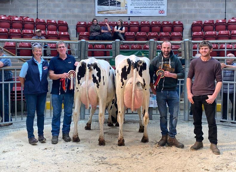 Airton Holsteins dispersal sale gets underway at Skipton 