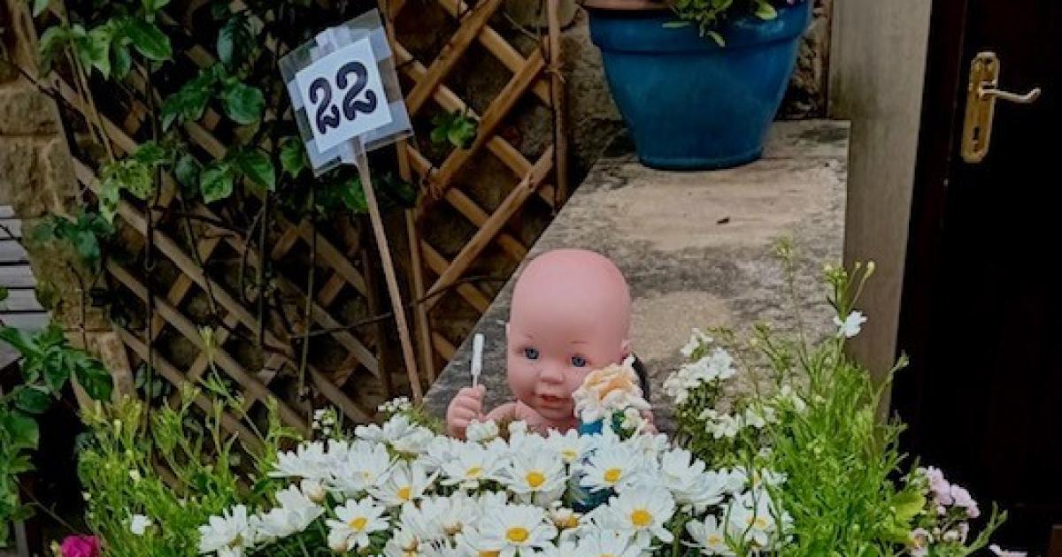'Baby in a bubble-bath' wins 'quirky containers' contest - Vimarsana News