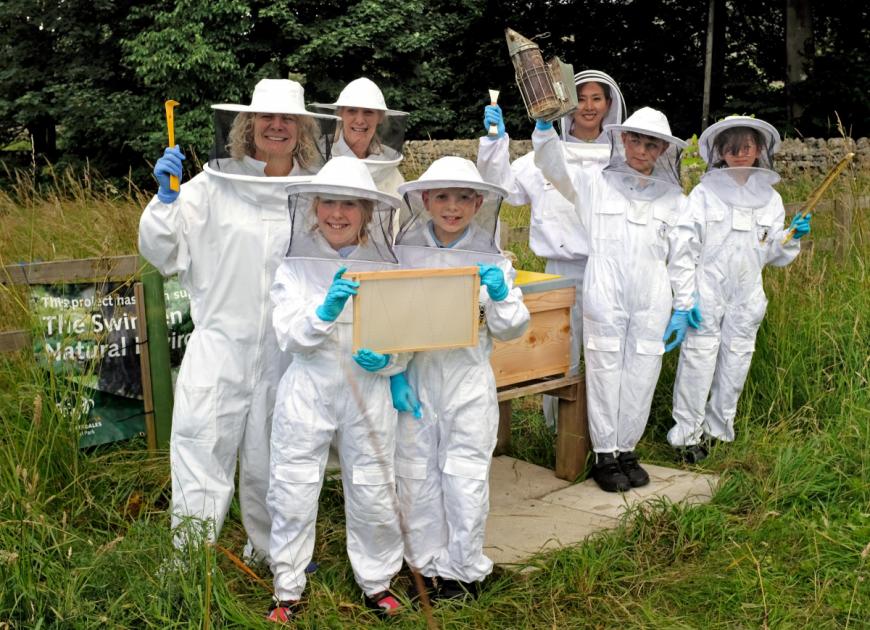 How Dales children are buzzing with enthusiasm about bees 