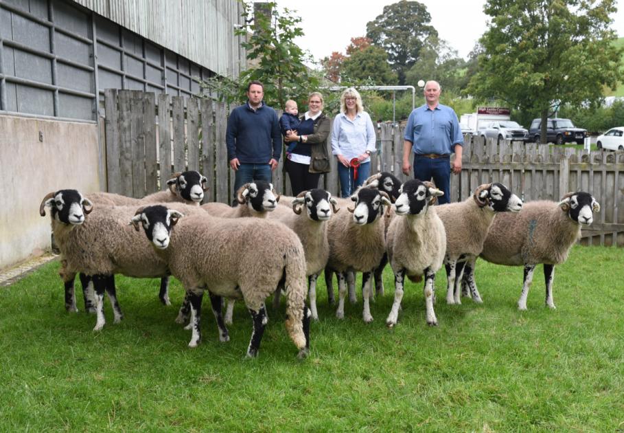 Trade exceeds expectations at Skipton Swaledale females highlight 