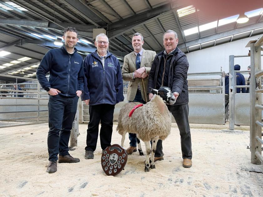 Addingham Sheep Breeders charity lambs sale nets £3560 