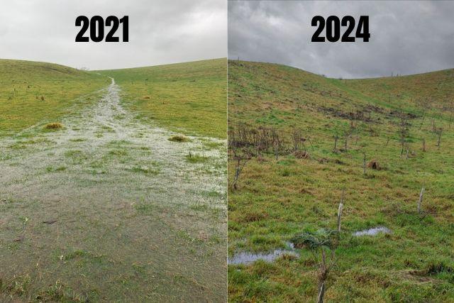 Photos show how Broughton rewilding is protecting against flooding 