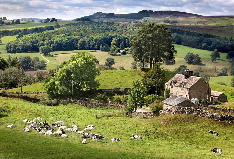 Rural Wharfedale, taken from Storiths near Bolton Abbey 