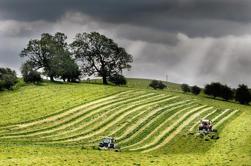 A Hellifield farmer makes his final cut of silage 