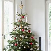 Luxury Christmas trees make return this summer ready for June-Mas