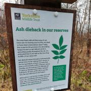 Sign in Grass Wood. Picture YWT