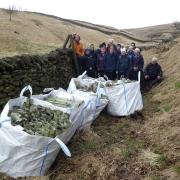 Friends of the Dales Tree guard collection. Picture Mark Corner