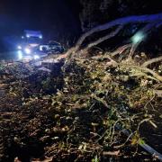 A tree damages a car between Elslack and Thornton in Craven during Storm Arwen. Pic Skipton Fire Station