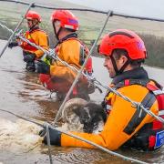 The water team with Upper Wharfedale Fell Rescue Association was called to help rescue stranted sheep at Kilnsey