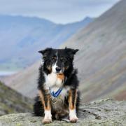 Skye started her training in Bowland