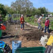 U3A members have been busy planting fruit trees on a communal allotment in Skipton