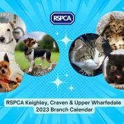RSPCA calendar 2023