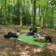 Try forest bathing in Gisburn Forest this spring, among other Bowland events