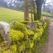 A moss covered stone wall at Foulridge