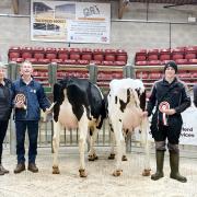 From left, co-sponsors Alison Carroll (NMR) and Helen Whittaker (Massey Feeds), Mark Smith with the victor, the reserve with Jack Swales and judge John Harry Hitchen
