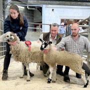 Alistair Bland, right, with his uncle John’s CCM Skipton first prize single Swaledale ewe and Mule gimmer lamb, joined by sister Lucy and show judge Ian Lancaster.