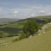 This picture is taken from the high route above Conistone in upper Wharfedale looking towards Old Cote Moor and Littondale in the distance. It was snapped by Michael Gibbons, of Draughton