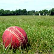 Upper Airedale Junior Cricket Association’s Black Rat Festival receive record numbers
