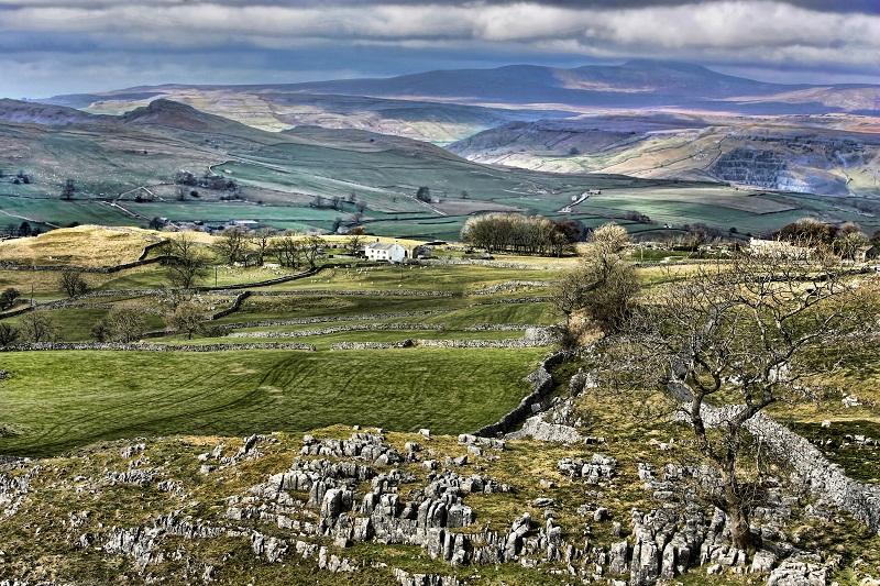 Situated in the magnificent landscape of the Yorkshire Dales National Park, Winskill Stones is a 74-acre area of limestone grassland and limestone pavement. 
