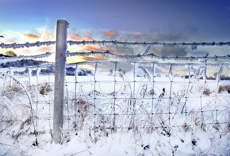 As temperatures plummeted this week, Craven Herald photographer Stephen Garnett captured this image of a frost-covered barbed wire fence in Wharfedale.