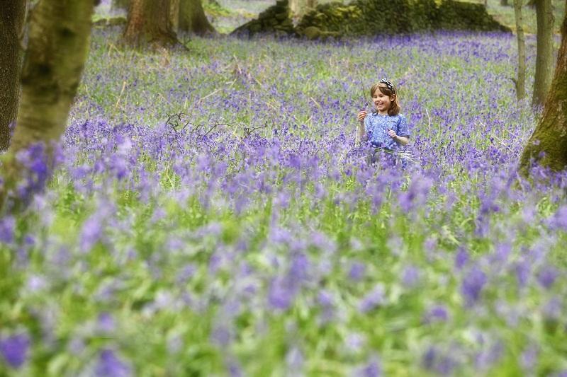 A youngster runs through the bluebells at Appletreewick.
