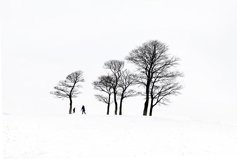 a resident exercising her dog near the coppice at Skipton’s Horse Close recreation ground stands out against the bleak white surroundings.