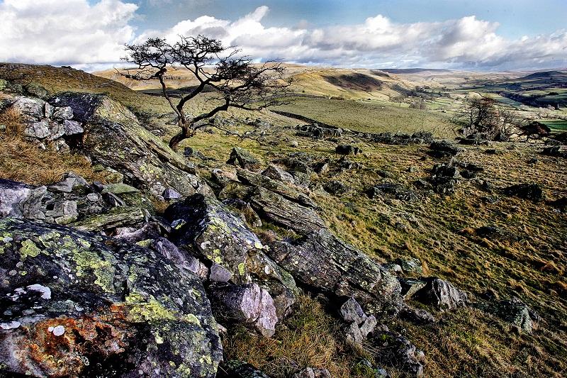 This Dales panorama focusses on the area of the Norber Erratics, the strange geological phenomenon found at Norber Scar, above Austwick. The erratics are rocks which are older than the surrounding geology and were formed during the ice age
