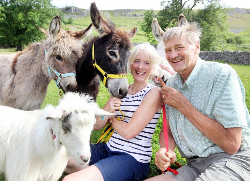 Meet the animals at HART sanctuary in Hawkswick offering therapy for youngsters 