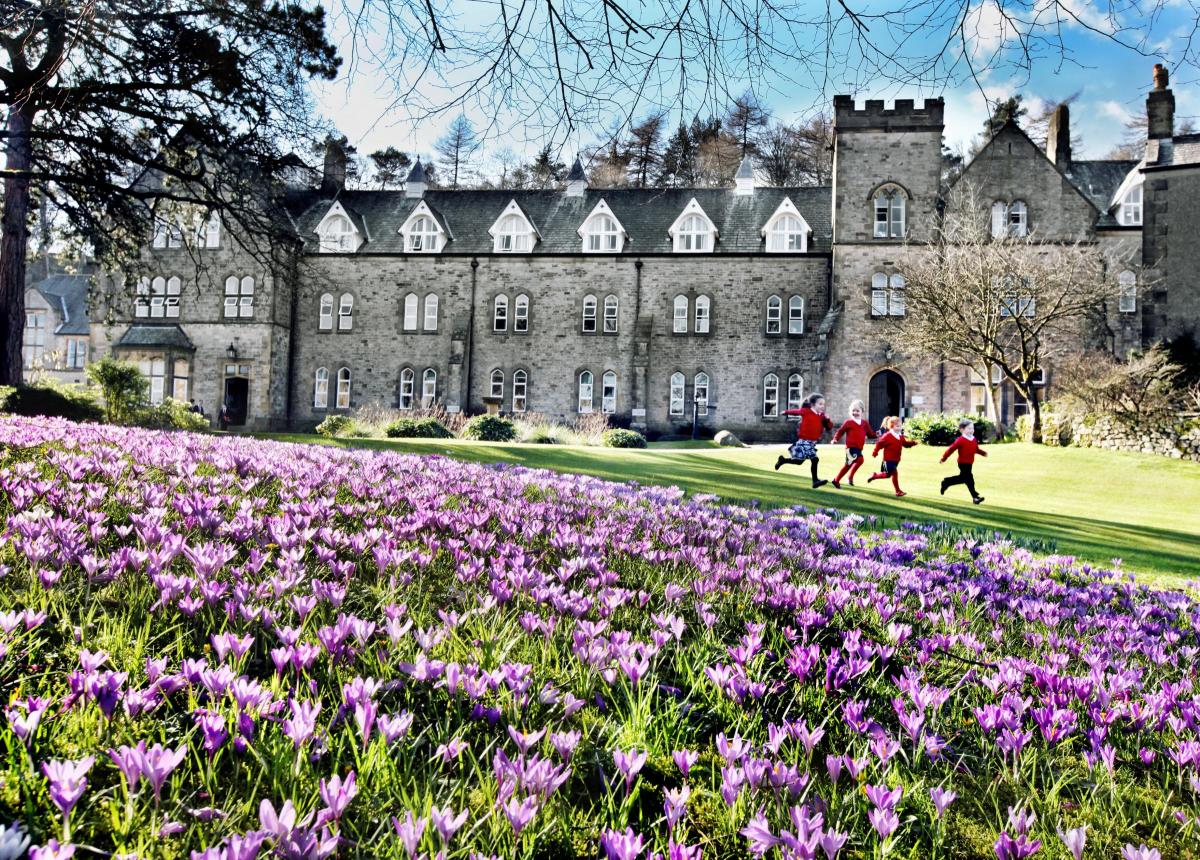 Pupils dash between lessons as a carpet of colourful crocuses peep out from the lawns of Giggleswick School