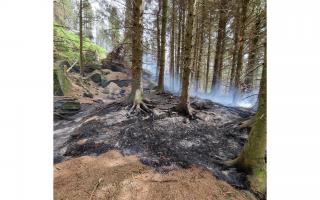 Fire at Crookwise Woods, Skipton on Sunday caused by an out of control campfire. Picture Skipton Fire Station