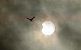 The partial eclipse. Picture Sara Spillett