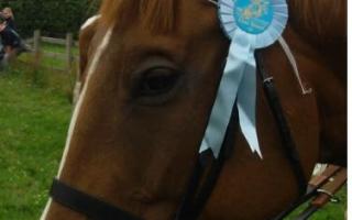 proud moment: Alexander wearing his first rosette