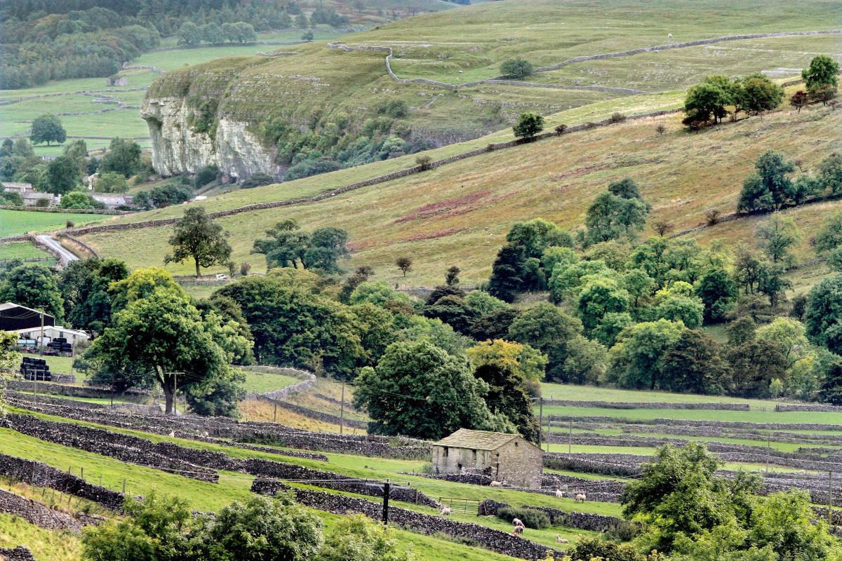 A traditional Yorkshire stone barn and lines of drystone walls provide the foreground interest to this unusual view of Kilnsey Crag taken from Park Rash looking down Wharfedale.