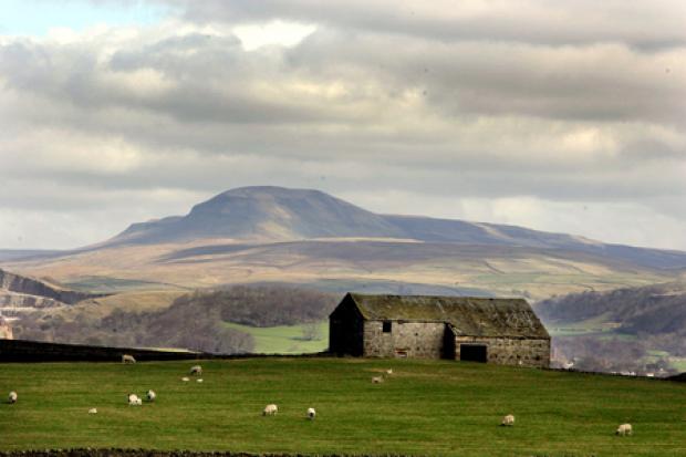 Barns in the Yorkshire Dales ..