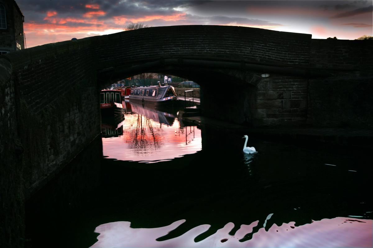 The Coach Street bridge over the Leeds-Liverpool Canal in the centre of Skipton is home to a flock of swans like this one, pictured at sunset by Craven Herald photographer Stephen Garnett.