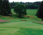Craven Herald: Ilkley Golf Club